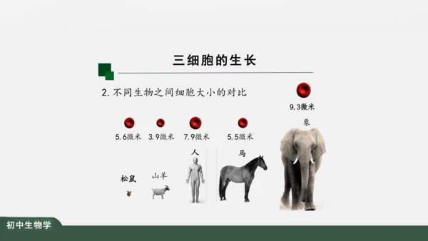 2.2.1 细胞通过分裂产生新细胞 课件（共22张PPT）