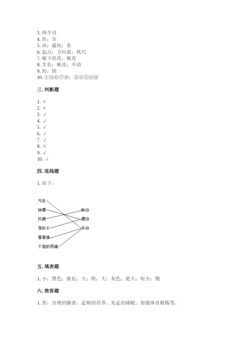 教科版科学三年级下册 期末测试卷（研优卷）.docx