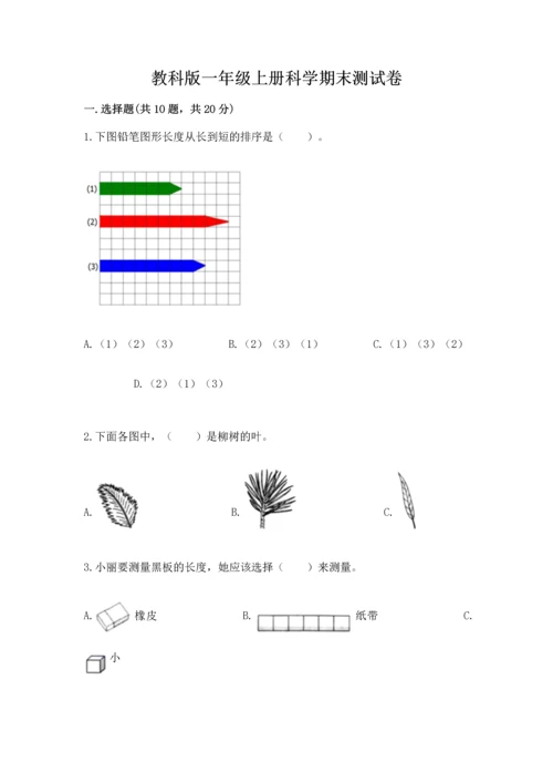 教科版一年级上册科学期末测试卷带答案（培优b卷）.docx
