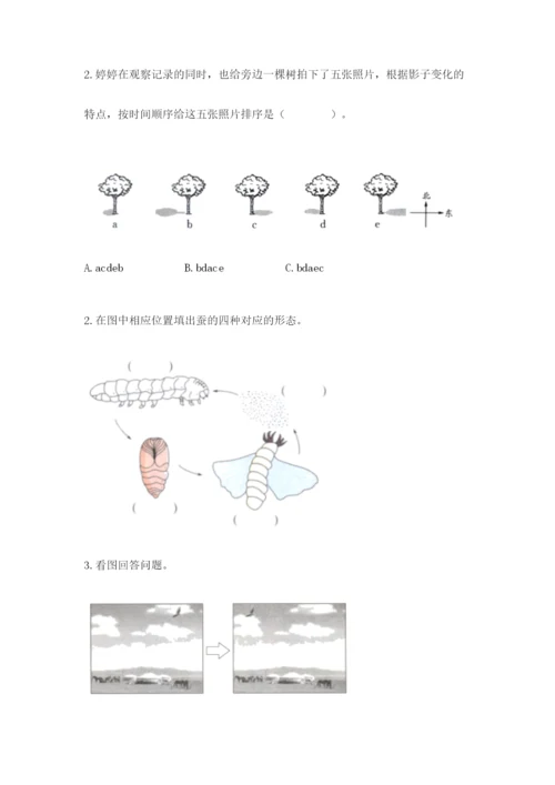 教科版科学三年级下册 期末测试卷精品（巩固）.docx