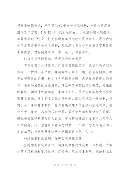 巡察整改工作主要负责人组织落实情况报告.docx