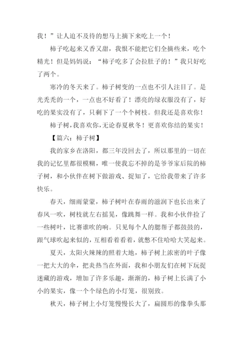 描写柿子树的作文.docx