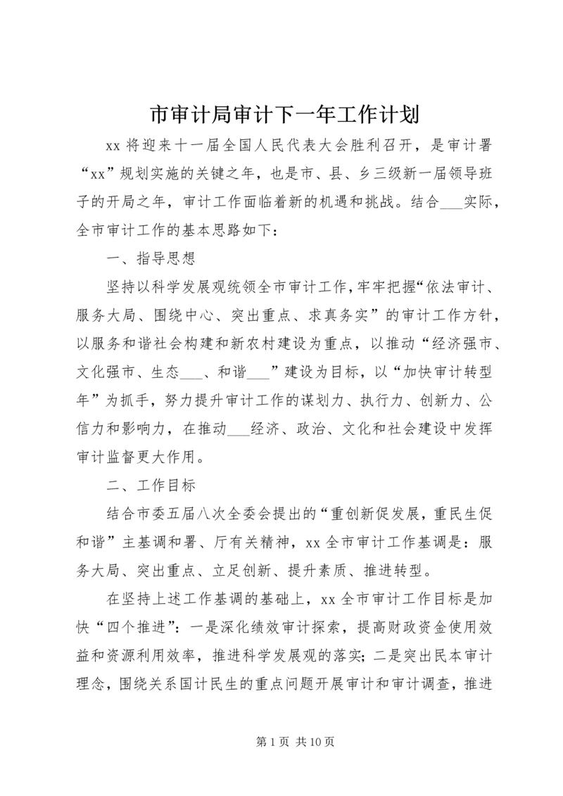 市审计局审计下一年工作计划 (2).docx