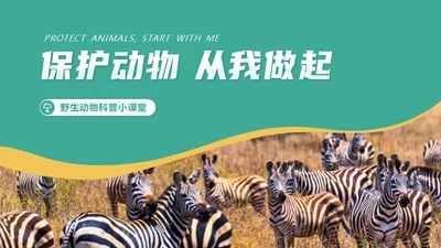 保护野生动物斑马通用PPT模板