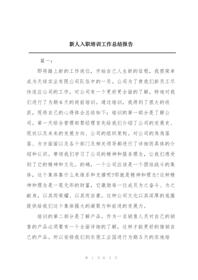 新人入职培训工作总结报告.docx