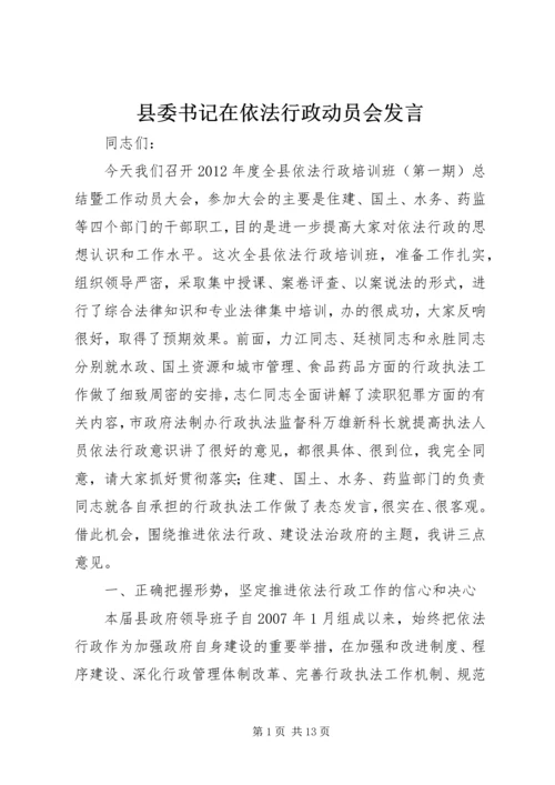 县委书记在依法行政动员会发言.docx