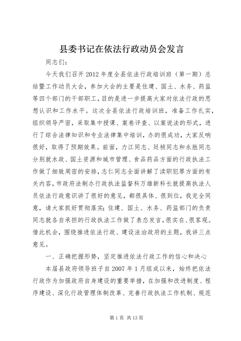 县委书记在依法行政动员会发言.docx