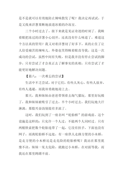 一次难忘的尝试作文600字.docx