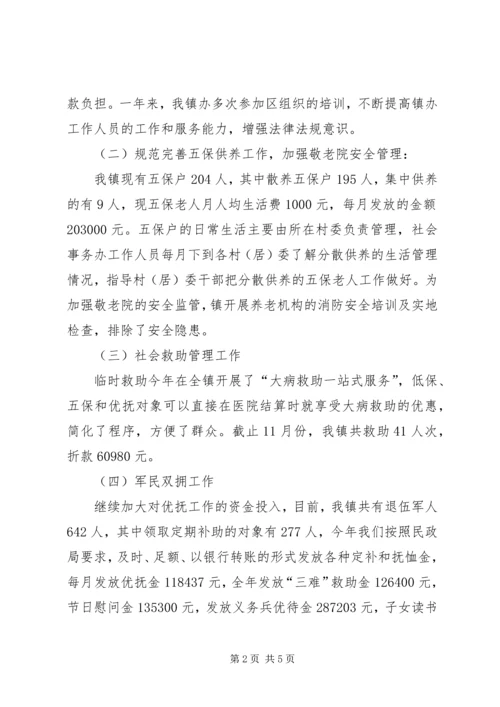 乡镇社会事务办工作总结暨工作计划.docx