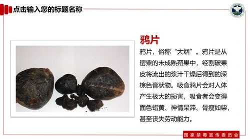 青少年预防不良行为禁毒教育PPT课件