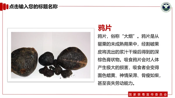 青少年预防不良行为禁毒教育PPT课件
