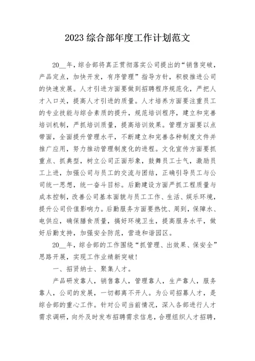 2023综合部年度工作计划范文.docx