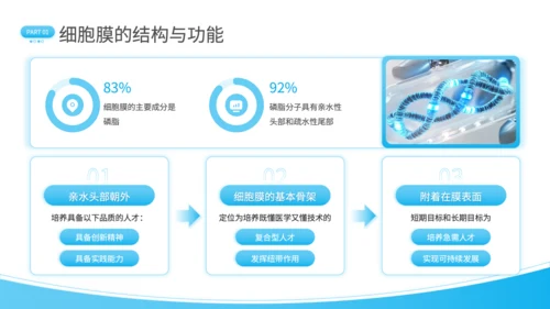 蓝色简约风细胞结构探秘PPT