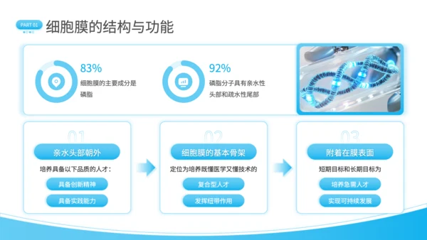 蓝色简约风细胞结构探秘PPT