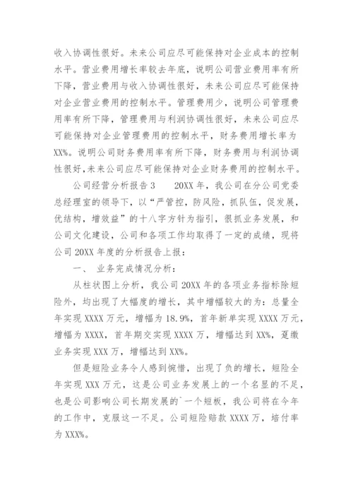 公司经营分析报告.docx