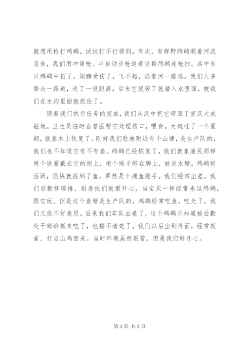 《万水千山任我行》读后感范文2篇.docx