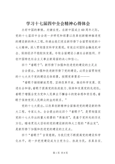 学习十七届四中全会精神心得体会.docx