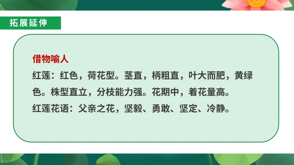 绿色小清新语文初一荷叶母亲课件PPT模板