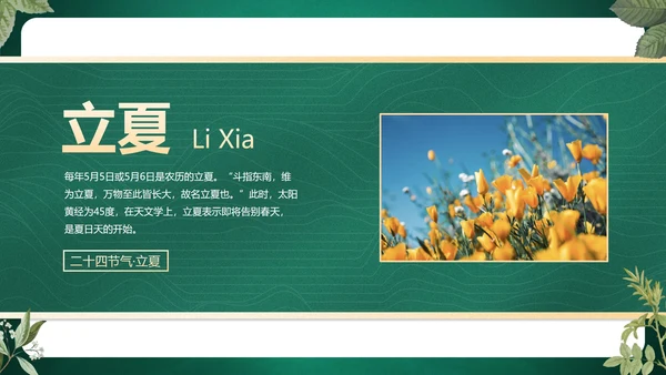 绿色花卉古风传统二十四节气科普主题教育PPT模板