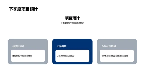 项目进程分析与未来规划