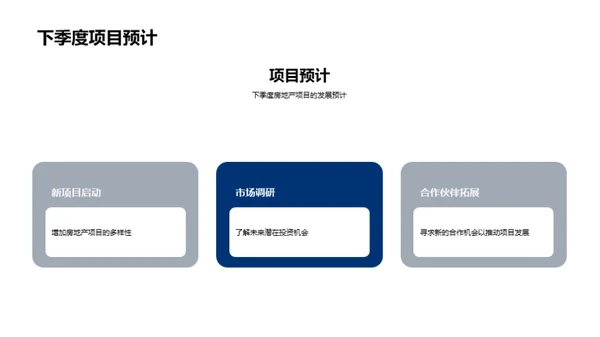 项目进程分析与未来规划