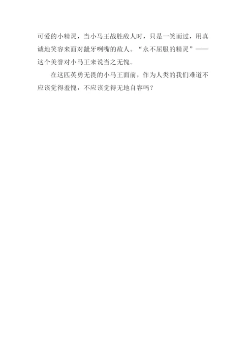 小马王观后感200字.docx