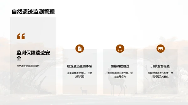 守护绿色宝藏