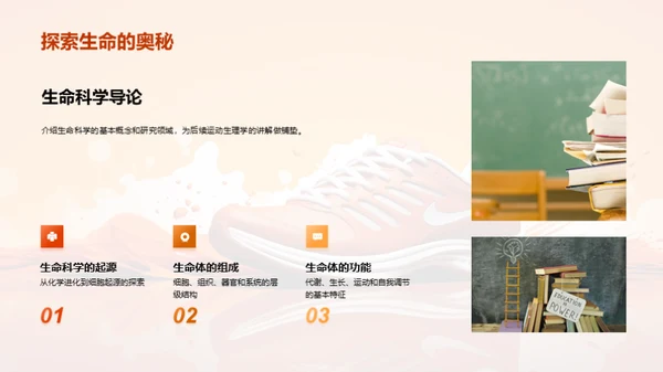 运动生理学全解析