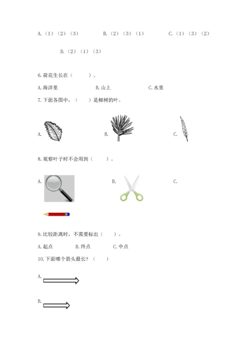 教科版一年级上册科学期末测试卷含解析答案.docx