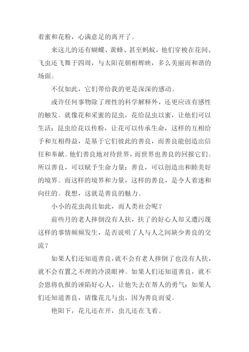 善良的魅力作文800字.docx