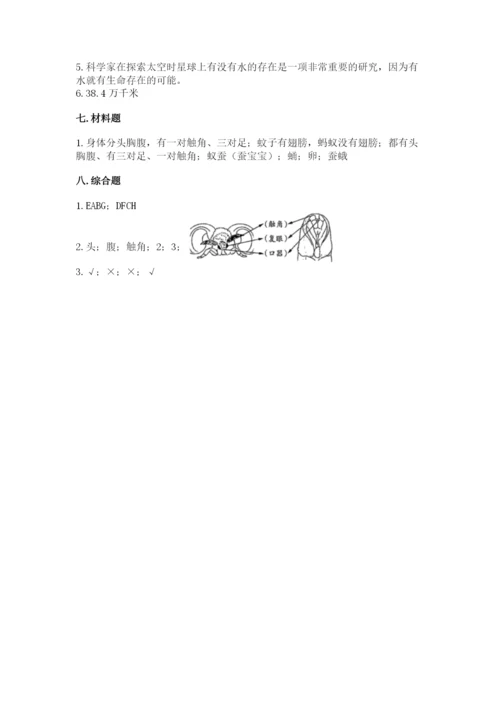 教科版小学科学三年级下册期末测试卷及参考答案（典型题）.docx