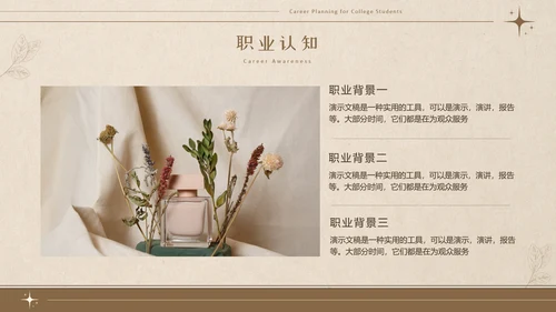 美拉德色大学生职业生涯规划PPT模板