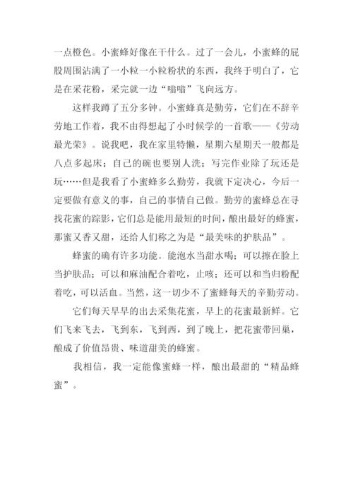 蜜蜂的启示作文.docx