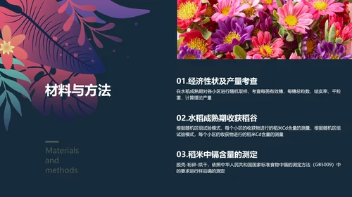 手绘插画风植物与污染研究总结报告