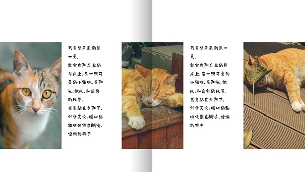 简约宠物萌宠画册电子相册通用PPT模板