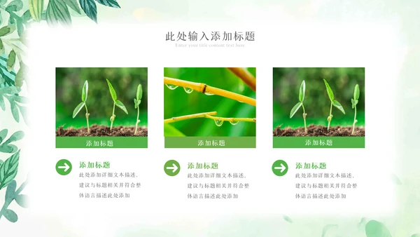 植物生长绿芽小树苗生长发芽成长ppt模板