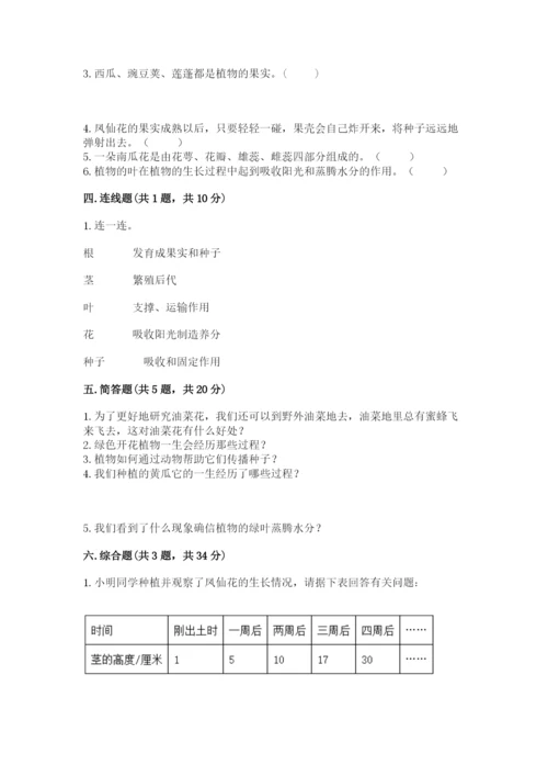 教科版科学四年级下册第一单元《植物的生长变化》测试卷【精练】.docx