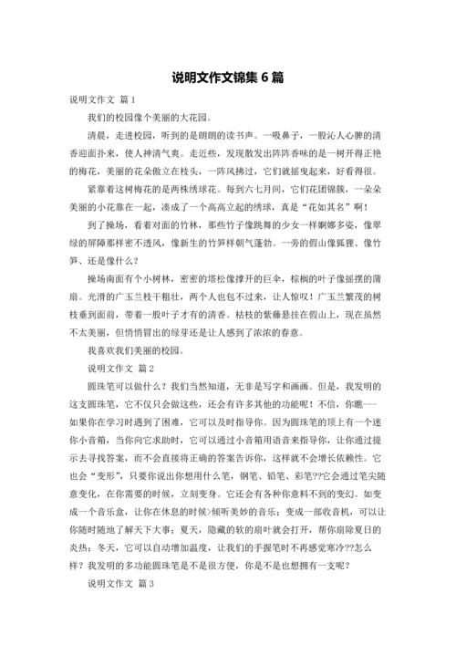 说明文作文锦集6篇.docx