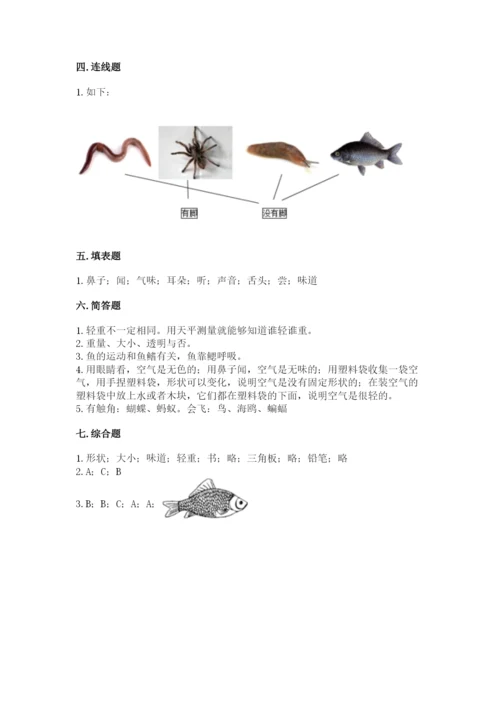 教科版小学科学一年级下册期末测试卷含答案【夺分金卷】.docx