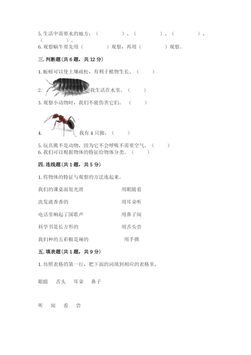 教科版一年级下册科学期末测试卷附答案（培优b卷）.docx