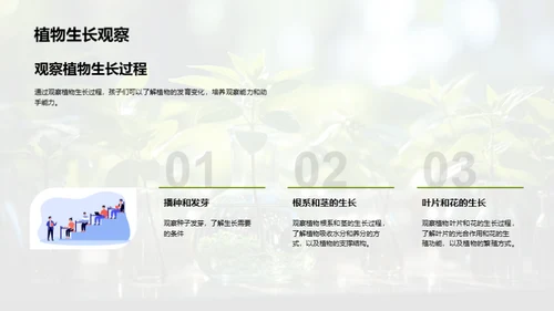 探秘植物生长之旅