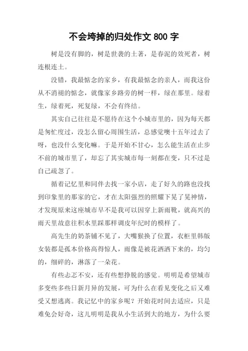 不会垮掉的归处作文800字.docx