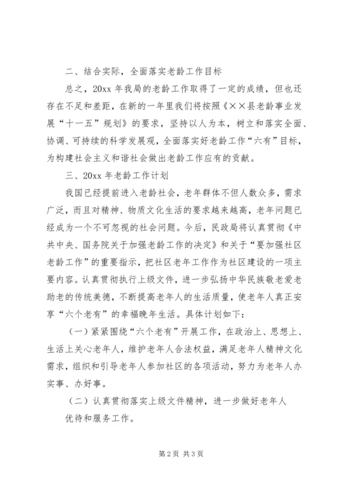 民政局老龄工作总结及老龄工作计划.docx