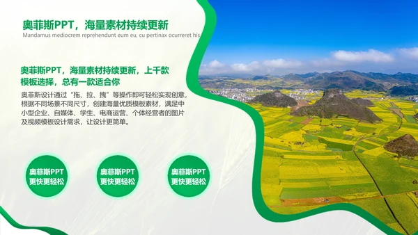 绿色简约风农学专业科研总结
