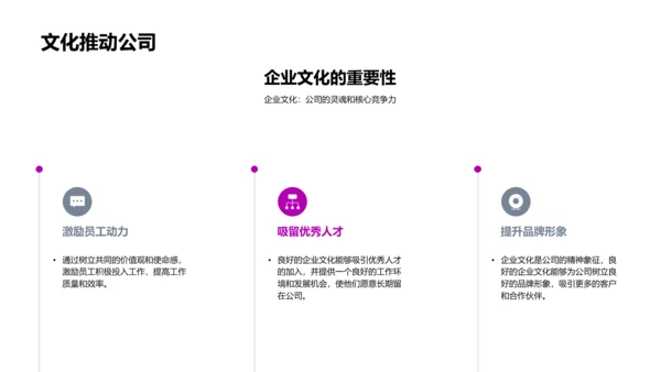 医保业企业文化实践PPT模板