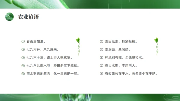 雨水绿色露水背景通用PPT模板