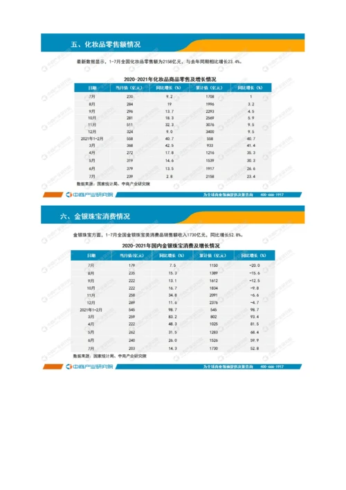 中国零售消费行业投资决策参考(2021年1-7月).docx