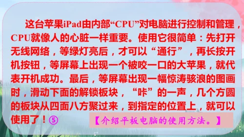 统编版语文八年级下册第二单元《写作：说明的顺序》课件