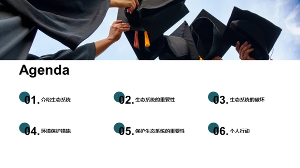 生态守护：我们的责任