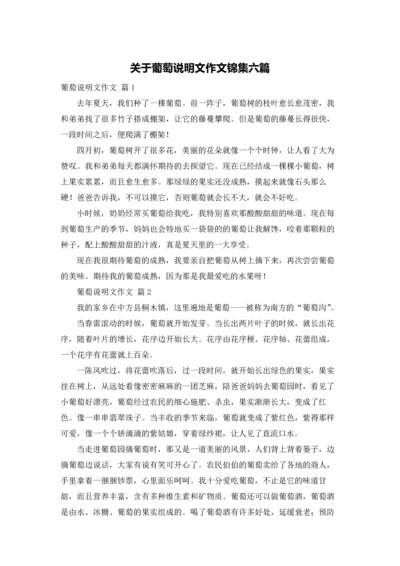 关于葡萄说明文作文锦集六篇.docx
